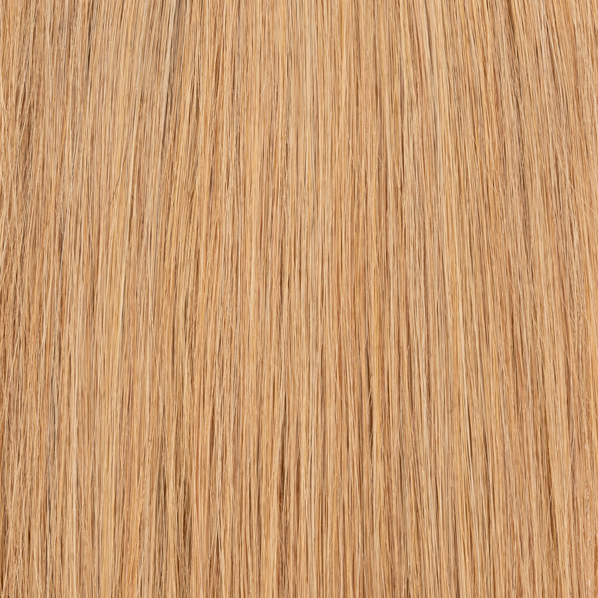 #A12 - Usbekische Extension - Aschetöne - Keratin