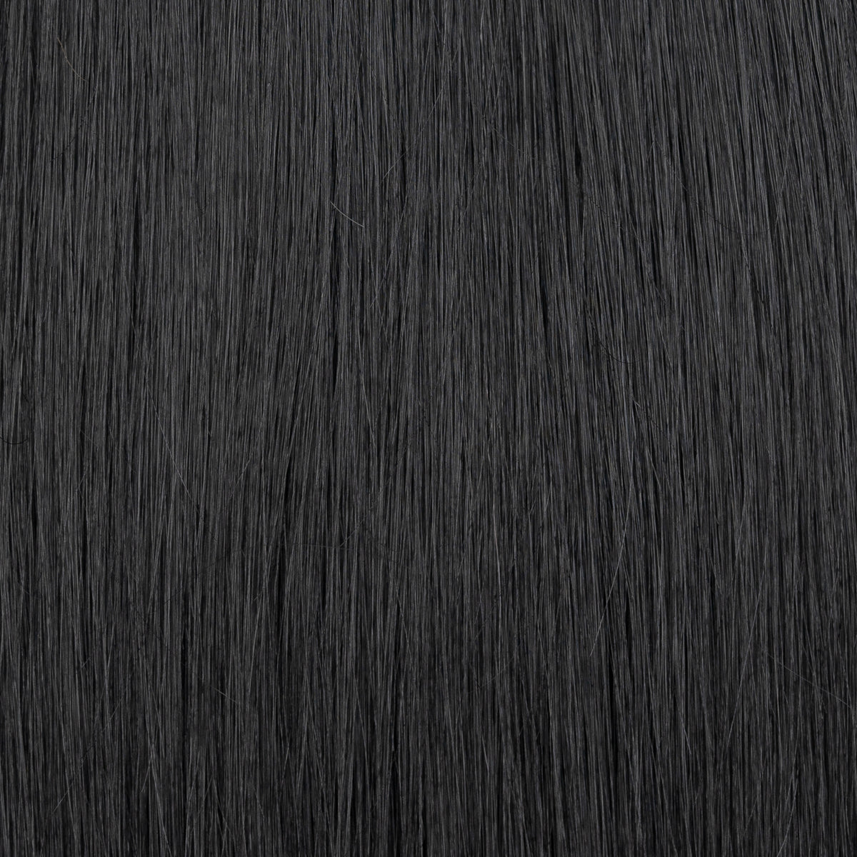 #A1 -Slavische Extension - Aschetöne - Keratin Bonding