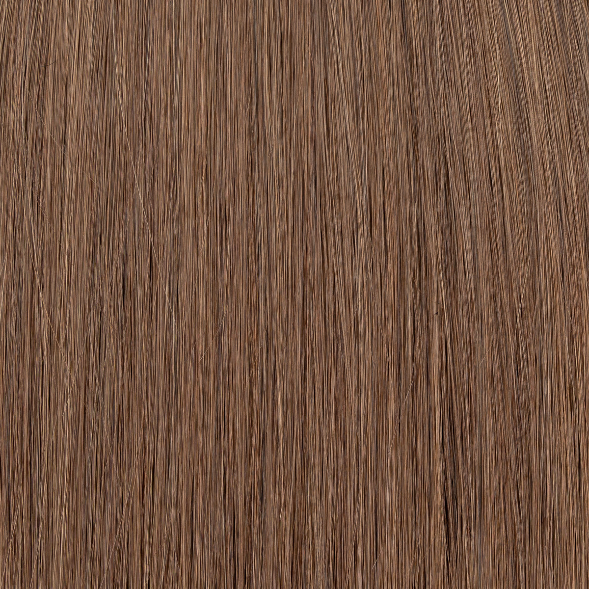 #A4 - Usbekische Extension - Aschetöne - Keratin