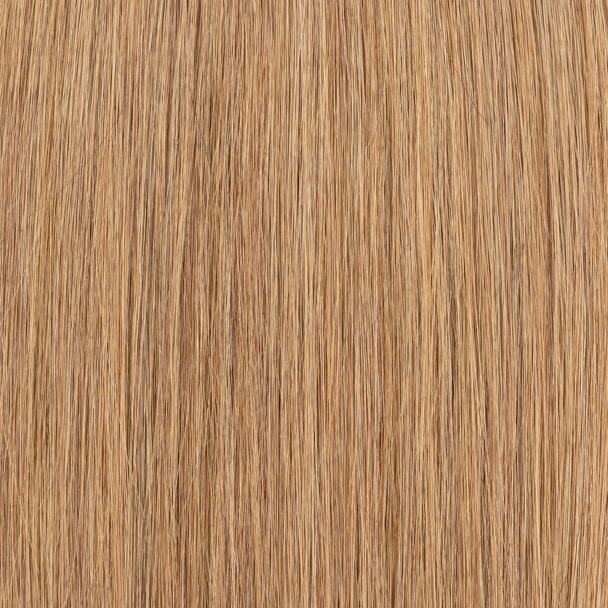 #A8 -Slavische Extension - Aschetöne - Keratin Bonding