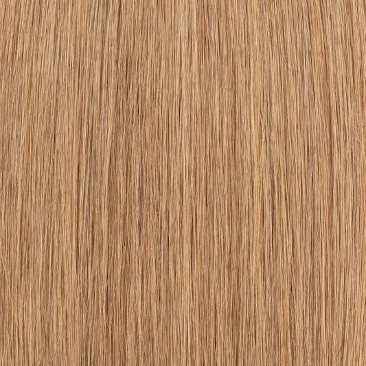 #A8 -Slavische Extension - Aschetöne - Keratin Bonding