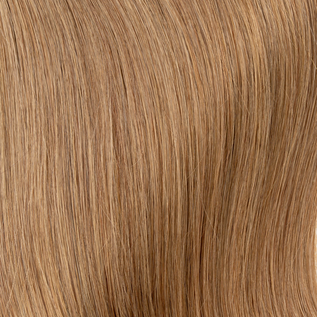#A8 -Slavische Extension - Aschetöne - Keratin Bonding