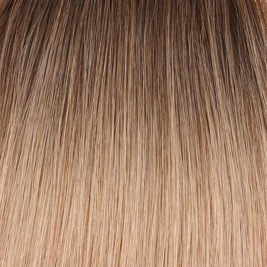 #A-Smoke -Slavische Extension - Balayage - Tape