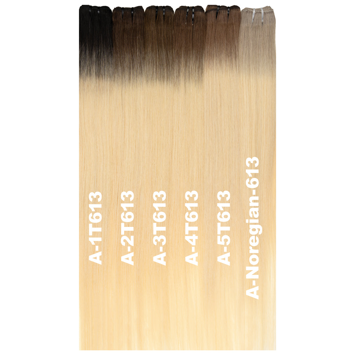 #A-1T613 - Usbekische Extension - Balayage - Tressen